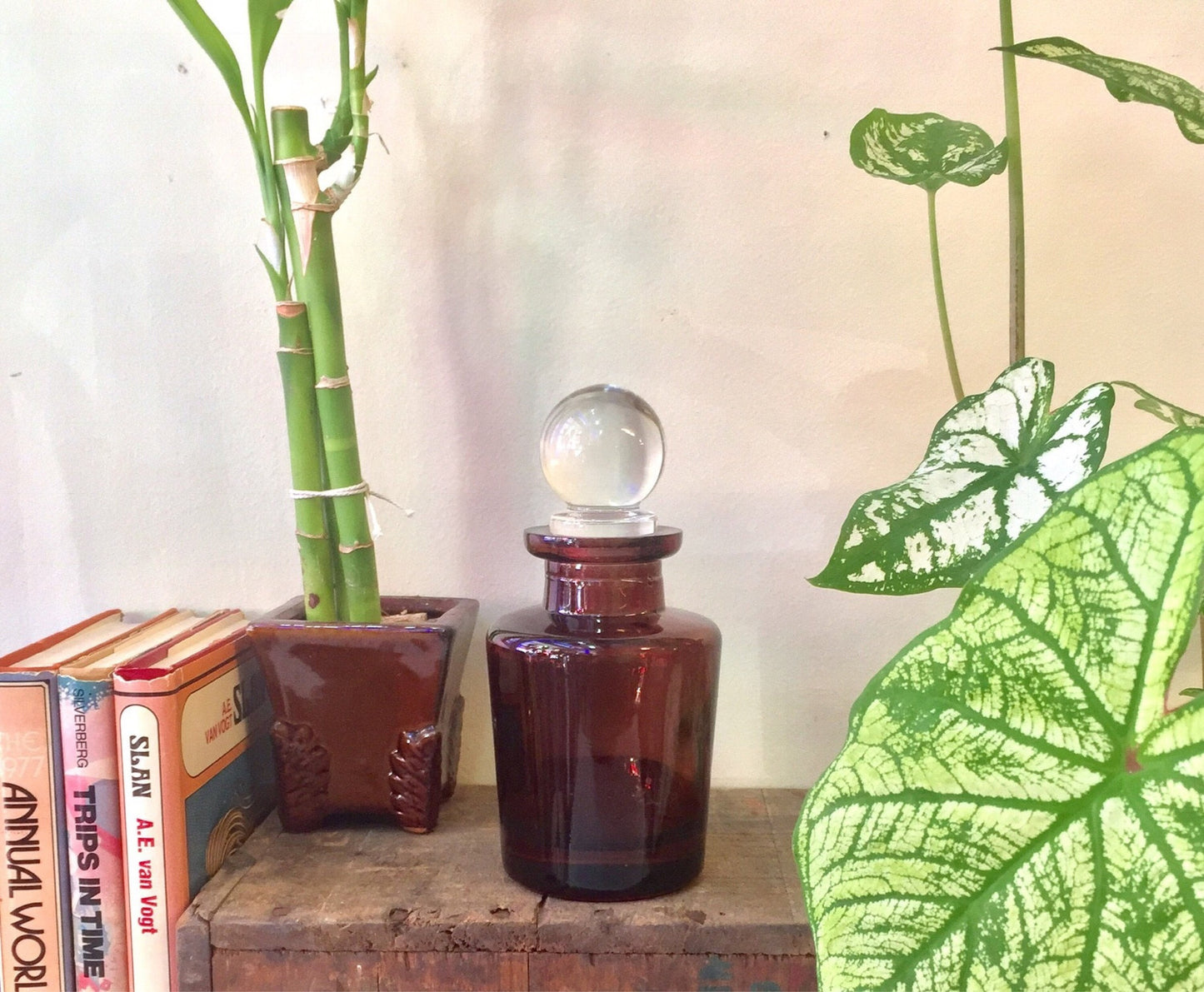 Vintage brown glass apothecary bottle with stopper, books, and green houseplant leaves on wooden surface.