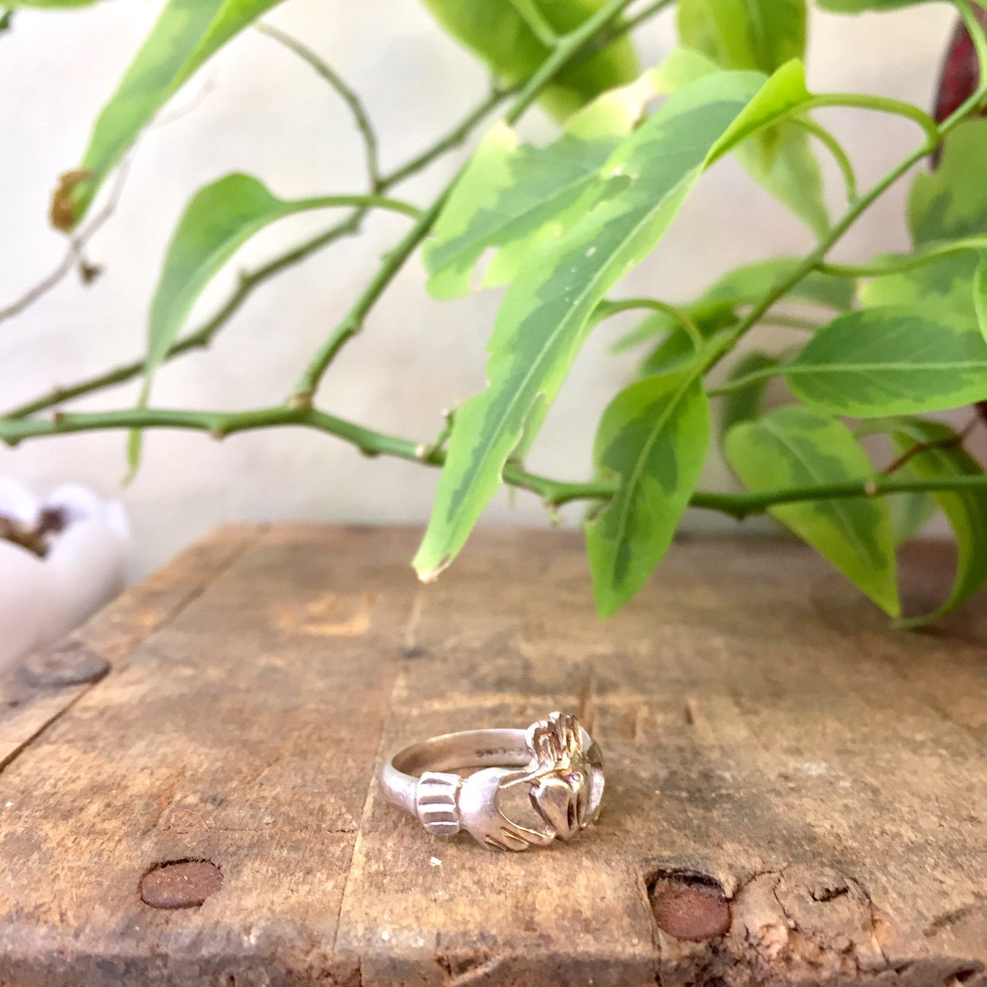 Sterling silver Claddagh ring on wooden surface with green plant leaves in background, Irish Celtic jewelry gift idea for her