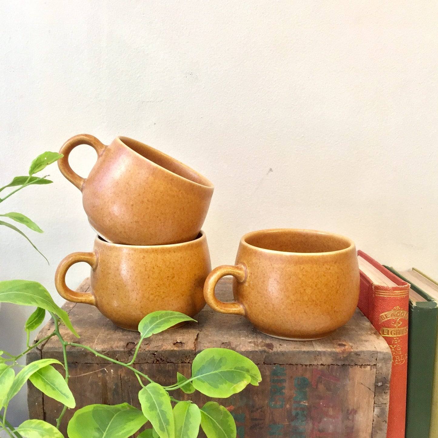 Set of three vintage Denby English stoneware mugs in brown color on a wooden surface with green plant leaves