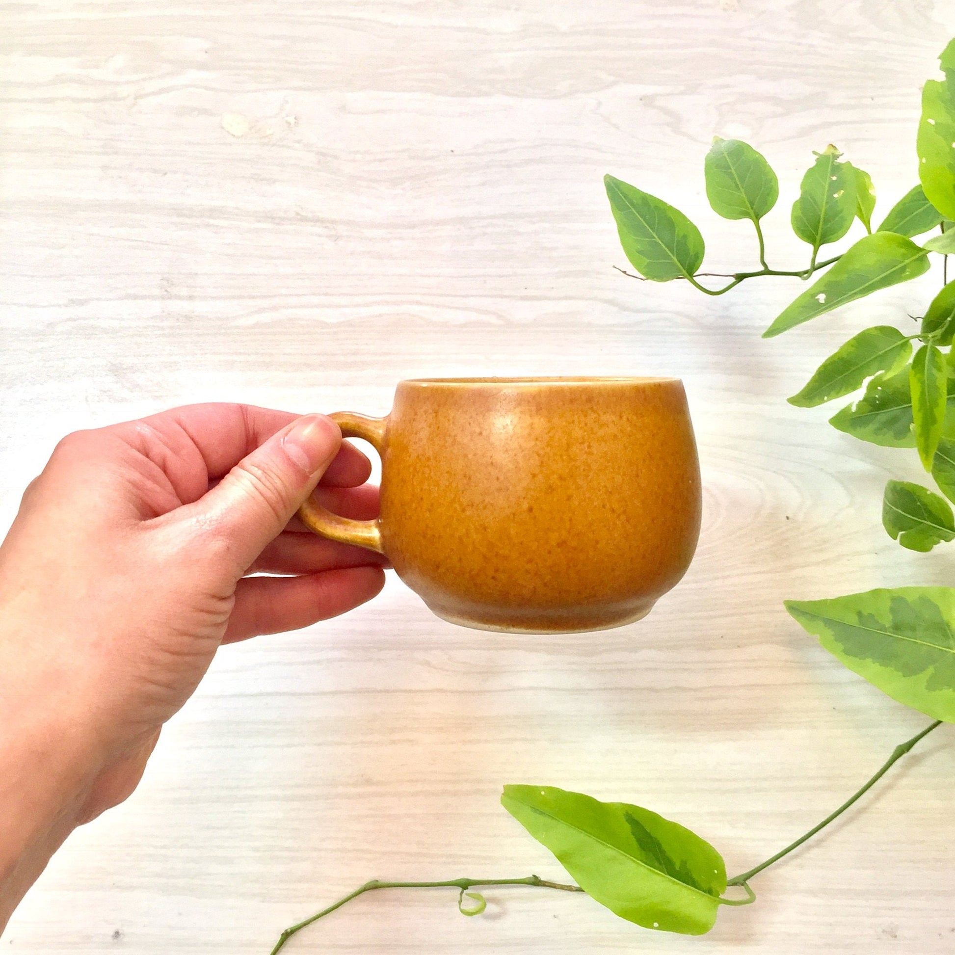 Hand holding brown ceramic mug amidst green leaves on light wooden surface