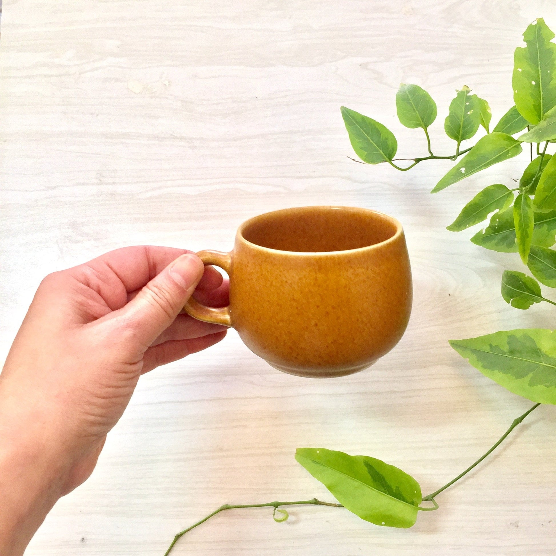 Hand holding a rustic brown ceramic mug on a light wooden surface surrounded by fresh green leaves.