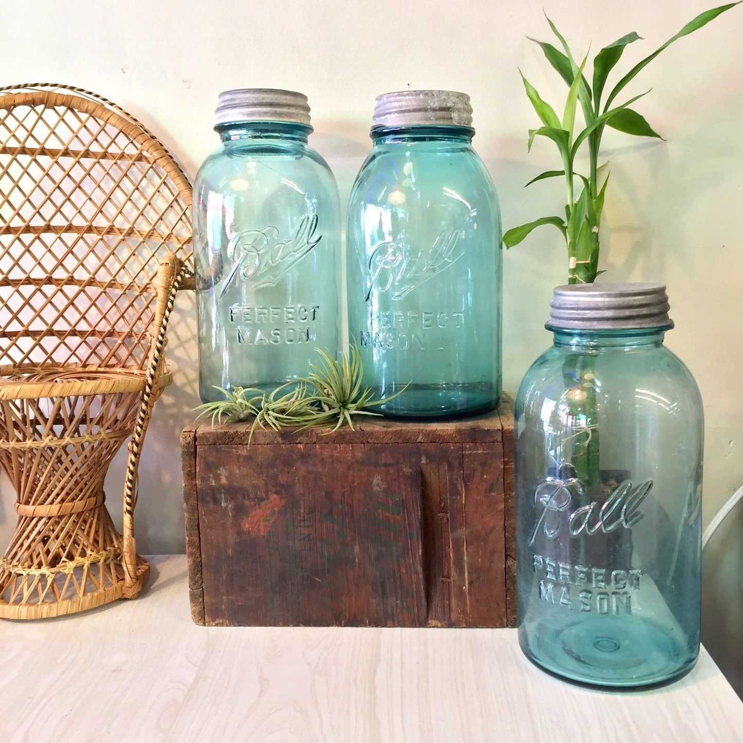 Set of three antique blue glass Ball Mason canning jars with zinc lids next to wicker chair and potted plant