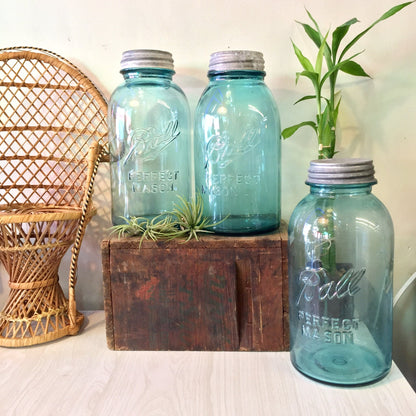 Set of three antique blue glass Ball Mason canning jars with zinc lids next to wicker chair and potted plant