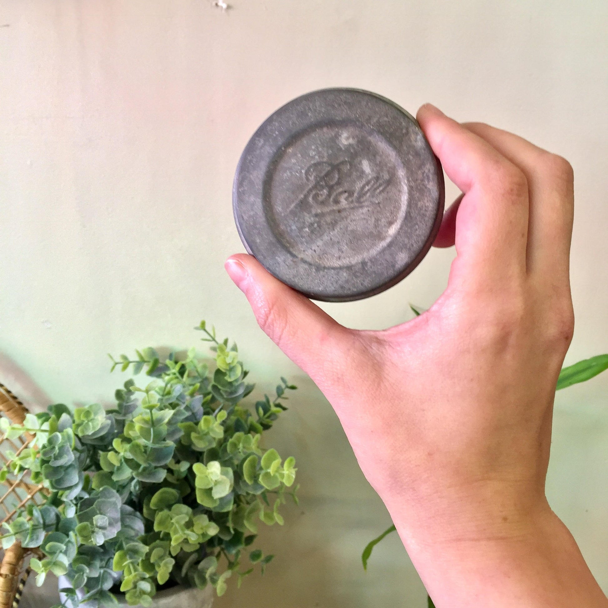 A hand holding a small blue antique Ball mason jar lid with the word "Ball" embossed on it, next to a small potted plant with green leaves.