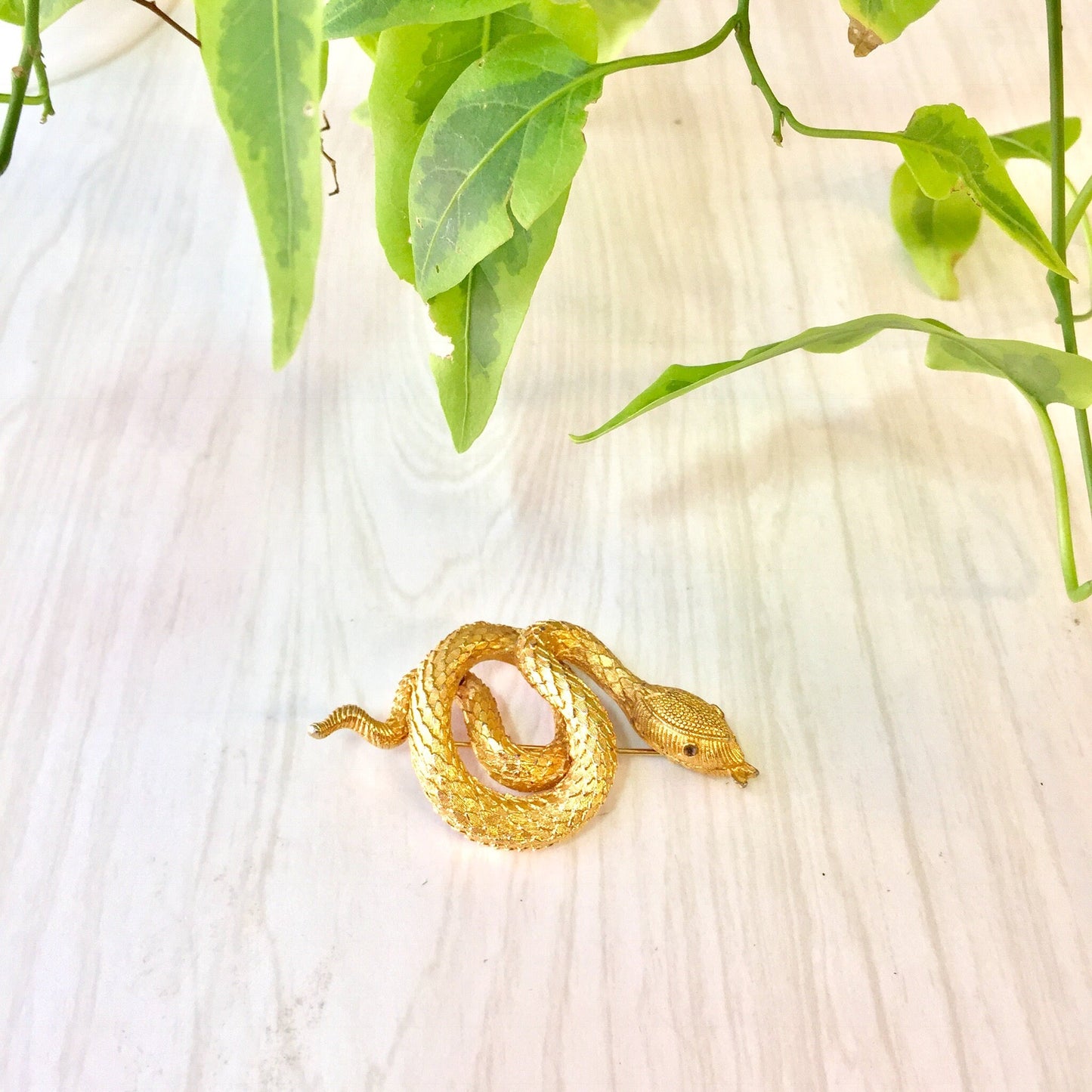 Gold tone coiled snake brooch pin on wooden background with green leaves, vintage costume jewelry gift idea