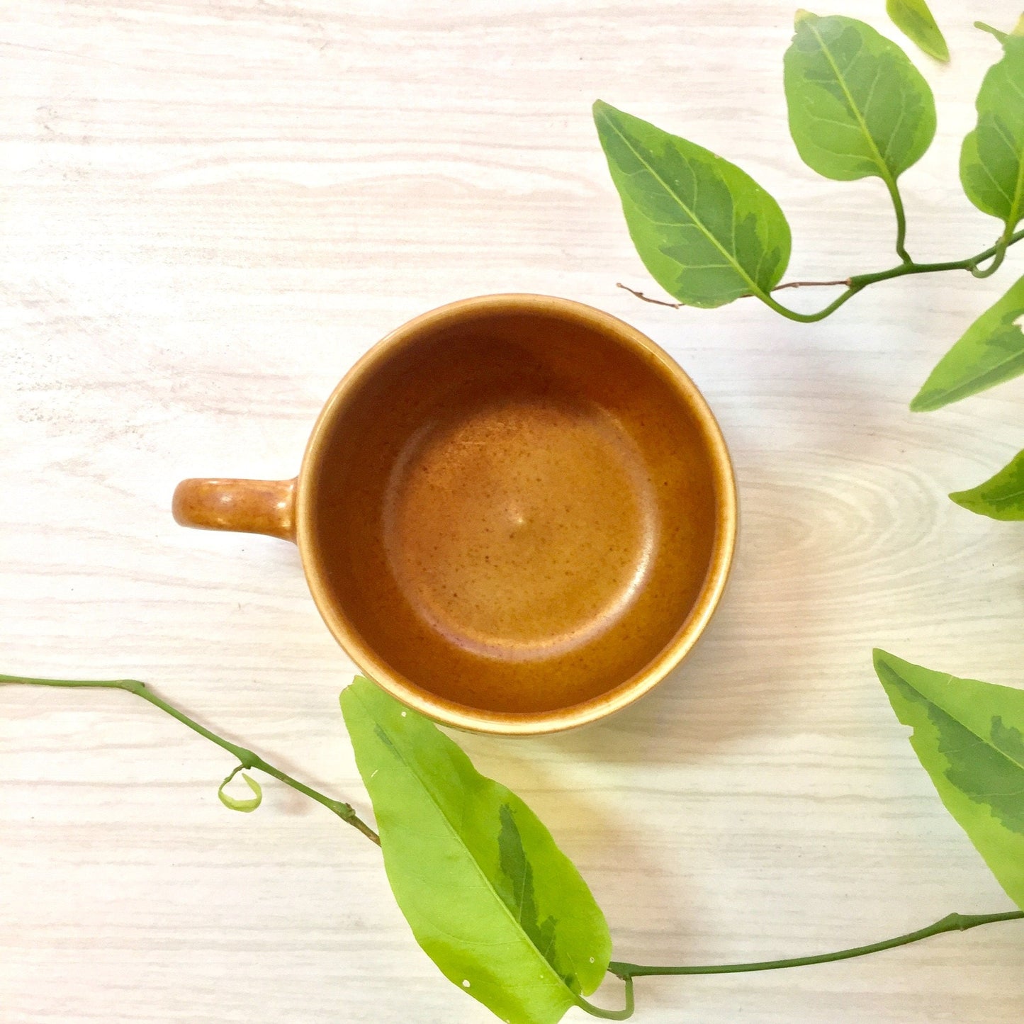 Ceramic coffee mug with handle surrounded by green leaves on a light wooden surface, viewed from above