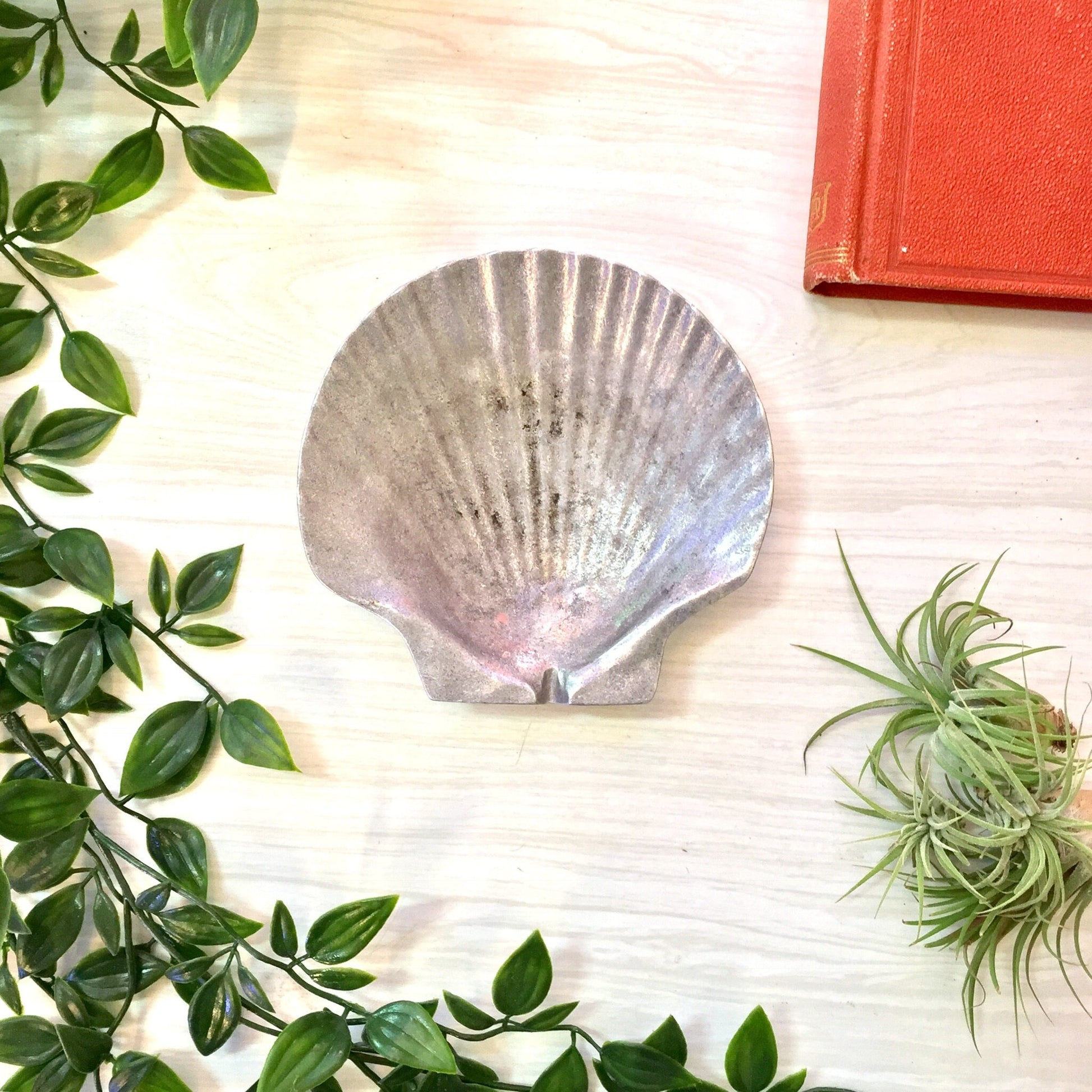 Vintage pewter seashell-shaped ash tray or catch-all dish surrounded by green foliage and a red book on a light wooden surface.