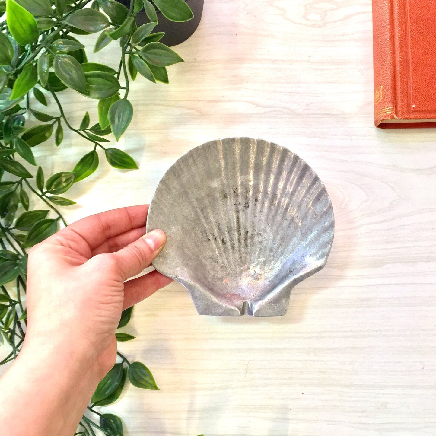 Vintage pewter seashell-shaped ash tray or catch-all dish held in hand next to green vine plant