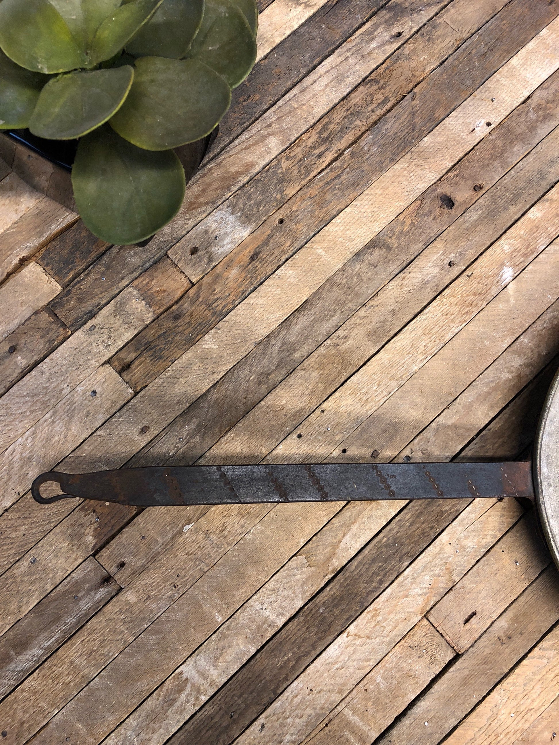 Antique copper poaching pan on rustic wooden table with green succulent plant, vintage kitchenware and home decor