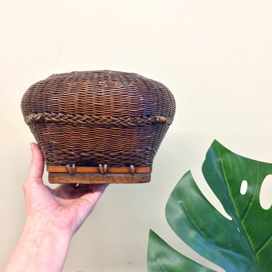 Vintage woven rattan basket planter pot held in hand next to green tropical leaf, bohemian home decor