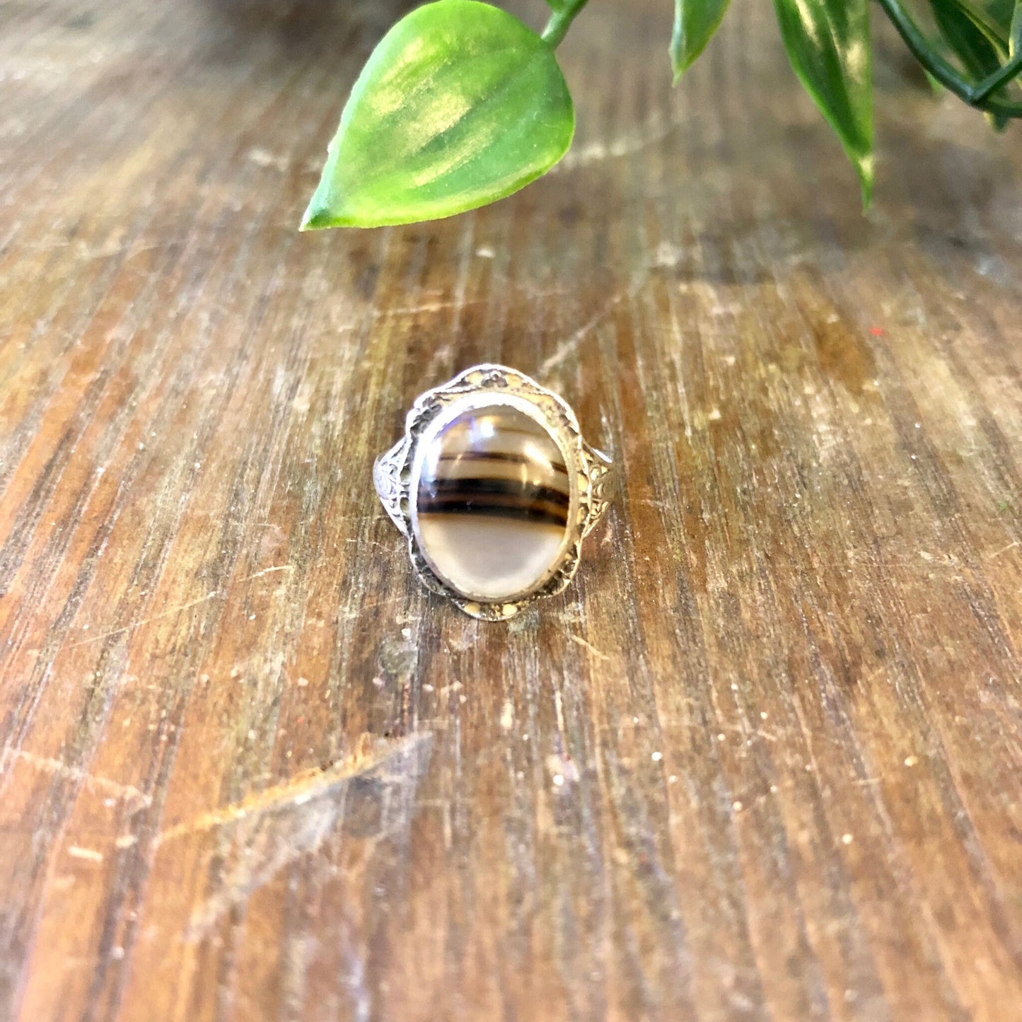 Vintage silver striped agate ring on wooden surface with green leaves