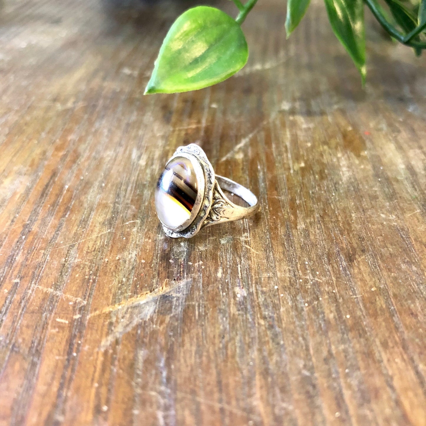 Vintage sterling silver ring with oval striped brown agate gemstone on wooden surface with green leaves