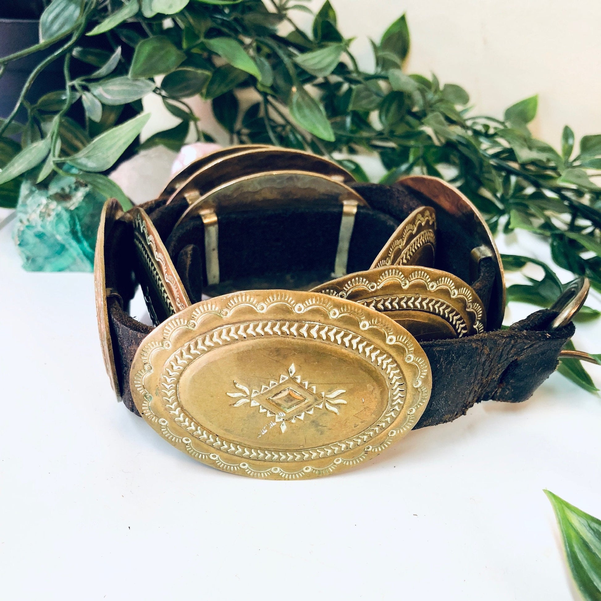 Vintage skinny concho belt made of brown leather with brass accents in a southwestern, hippie, bohemian style, displayed with green foliage.