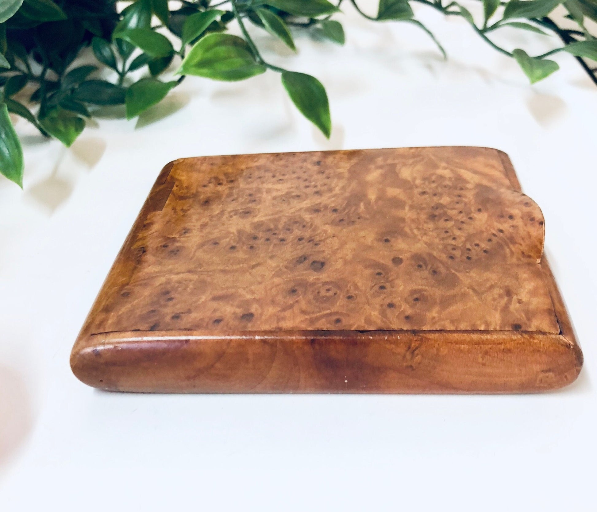 Vintage wooden hinged box with light brown burl wood grain pattern, suitable for use as a cigarette case, business card holder, or small container, surrounded by green leaves