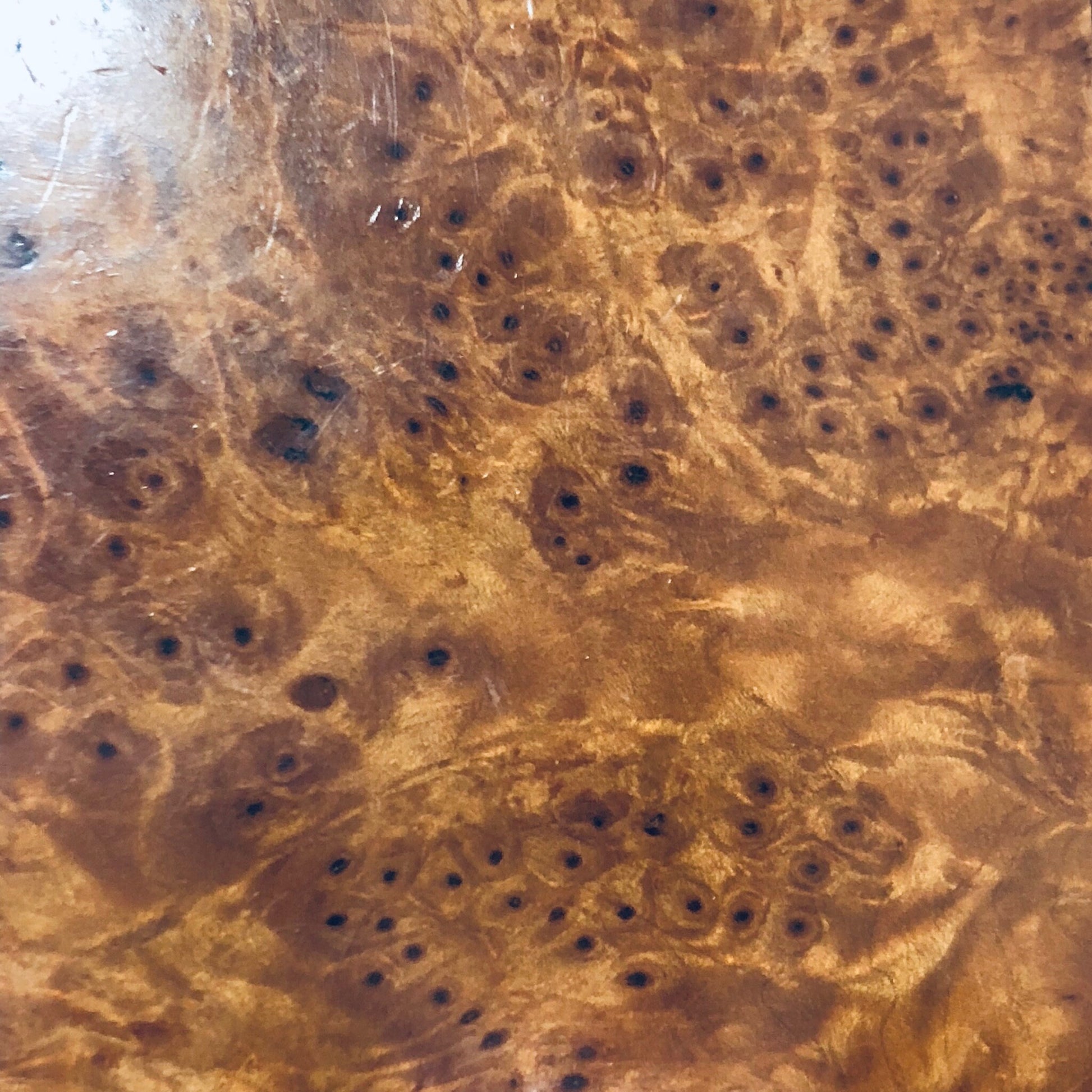 Closeup texture of light brown burl wood with knots and swirling grain pattern