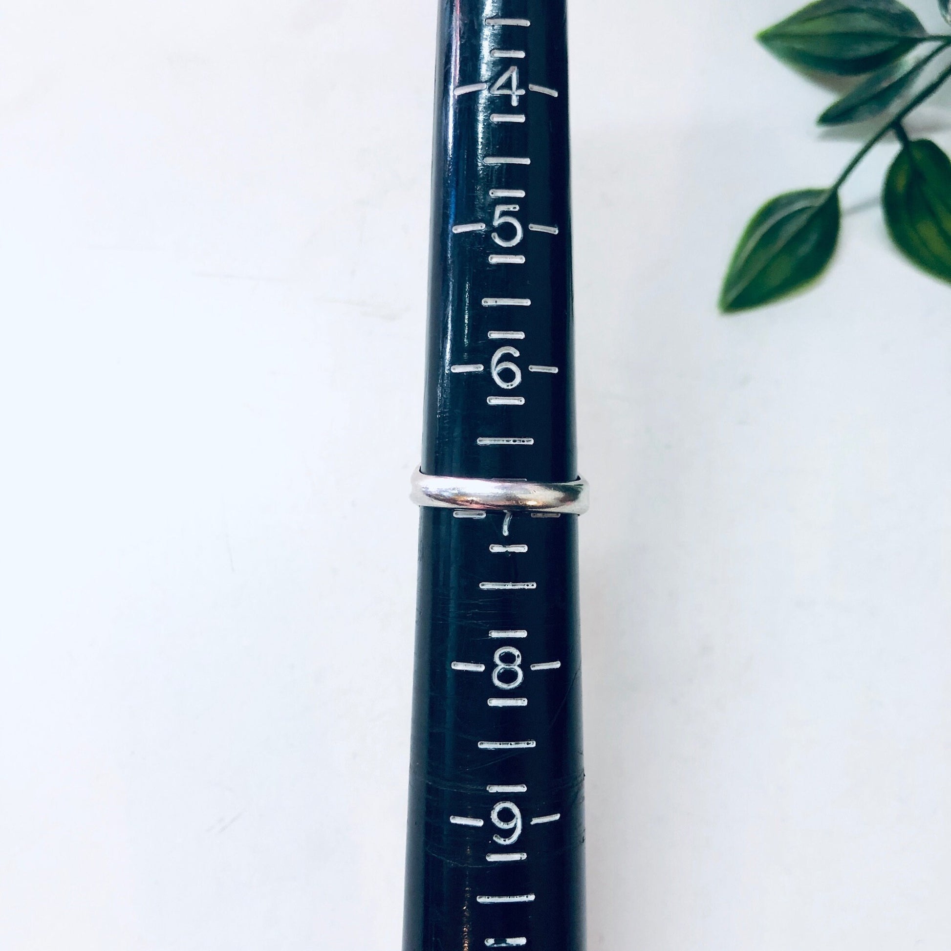 The image shows a close-up view of a glass rain gauge against a white background with some leaves visible. The rain gauge has white measurement markings and numbers showing units in inches along its dark blue cylindrical body. The gauge goes up to 5 inches and appears to be empty.