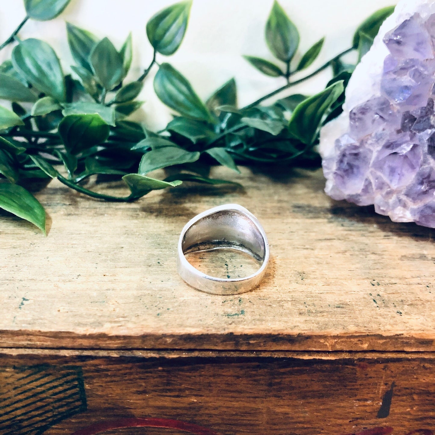 Vintage silver band ring on wooden surface with amethyst crystal and green leaves