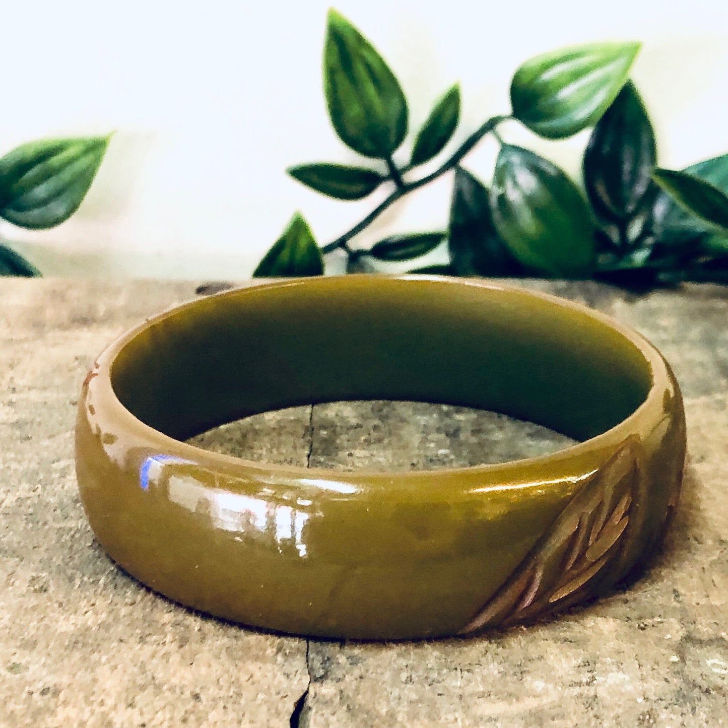 Vintage moss green Bakelite bangle bracelet with leaf etching design, photographed with plant leaves in background