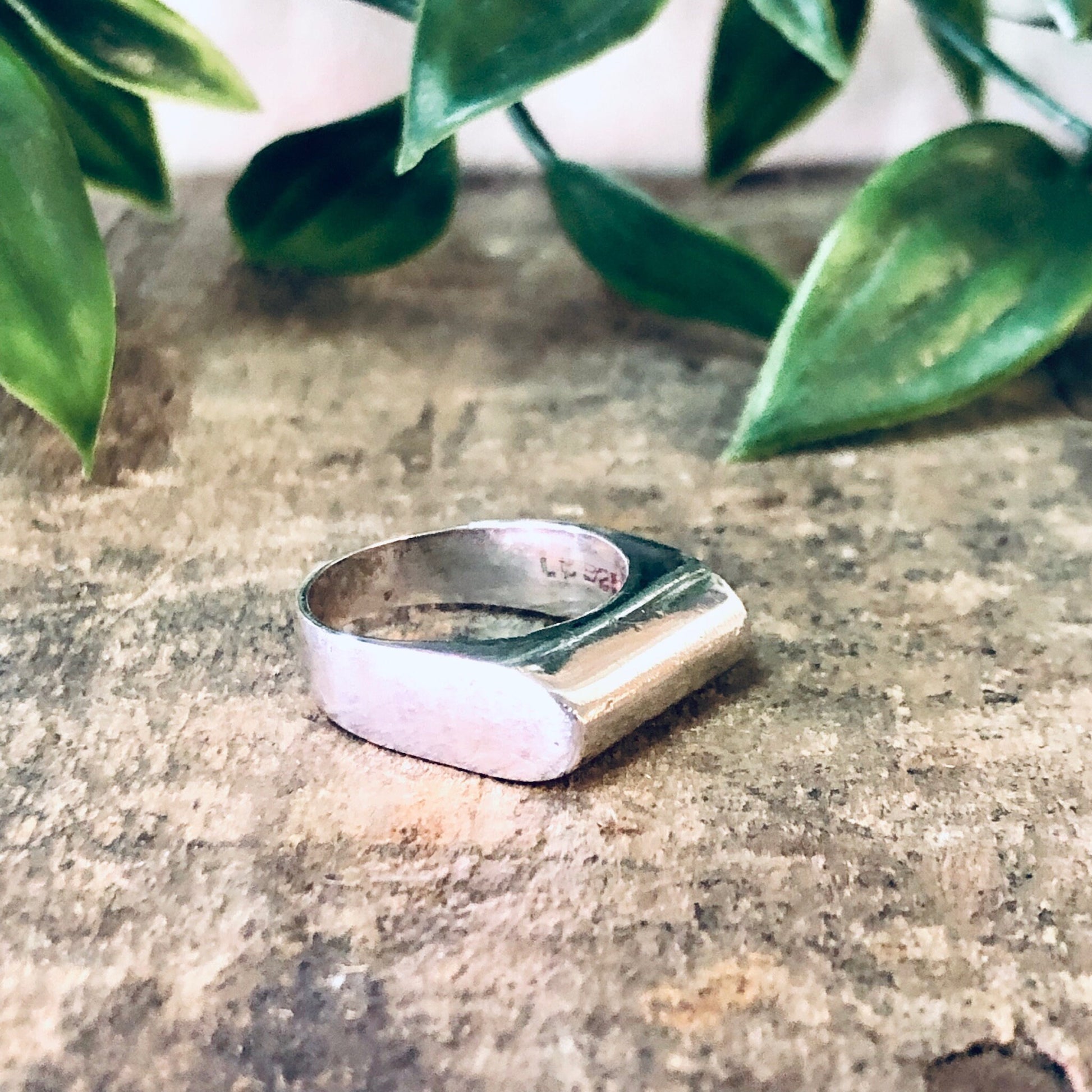 Vintage silver band ring on concrete surface surrounded by green leaves, simple modernist jewelry piece, sleek and unique 925 sterling silver ring.