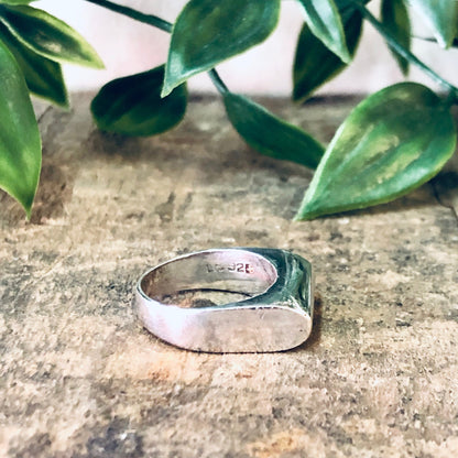 Vintage silver band ring on stone surface with green leaves