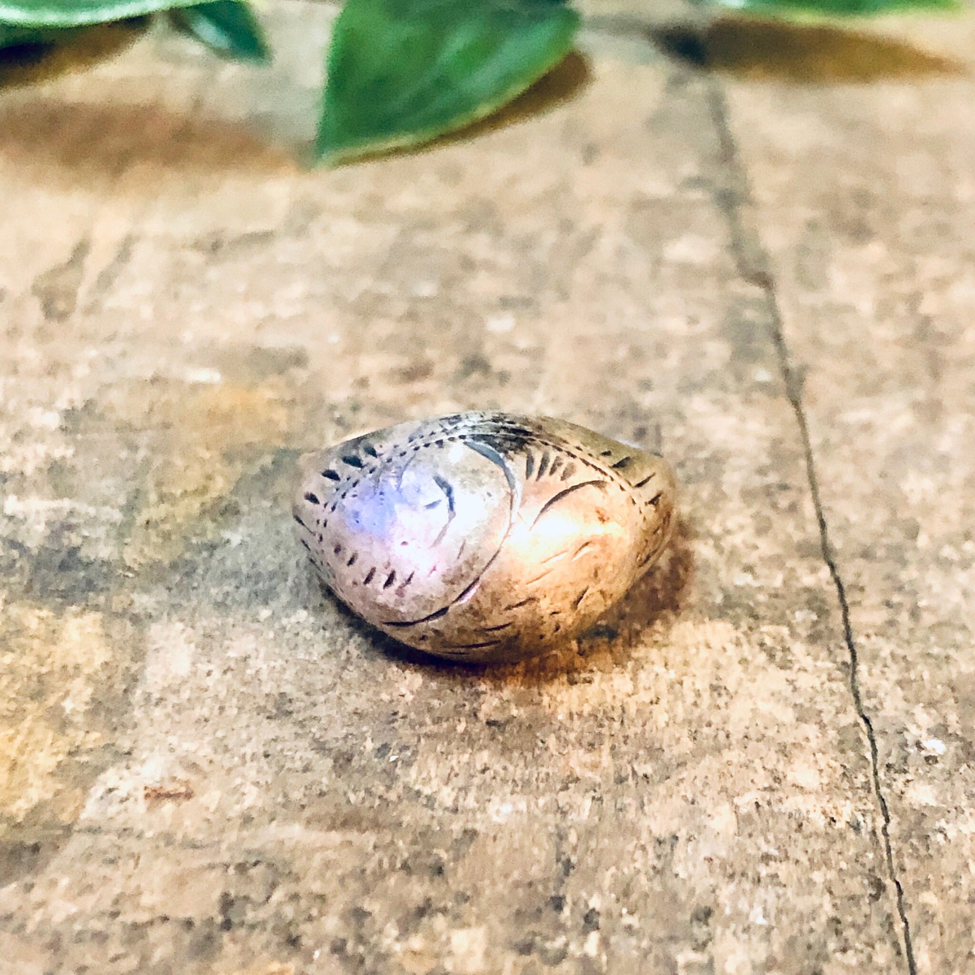 Vintage silver dome ring with etched design on concrete surface next to green leaves