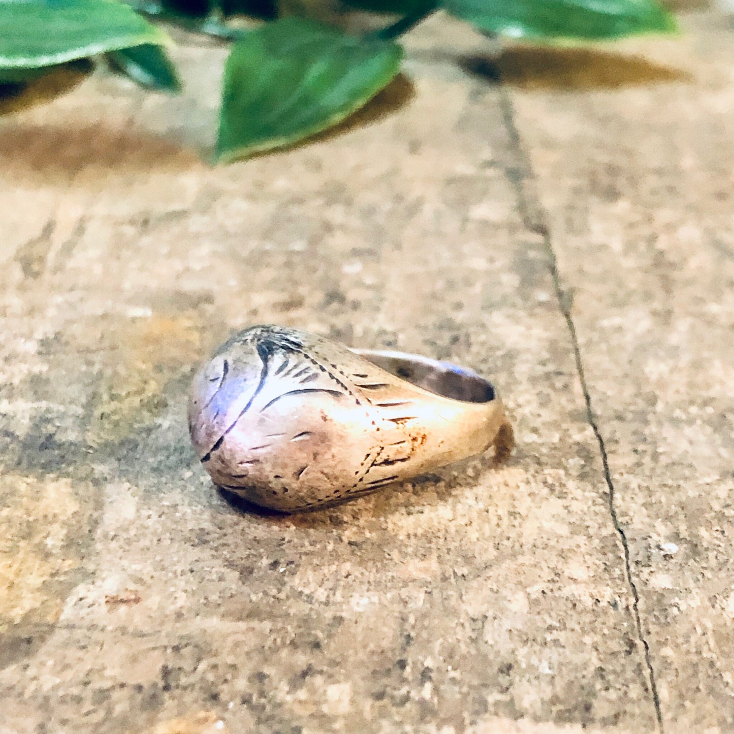 Vintage silver dome ring with etched design on concrete surface near green leaves.