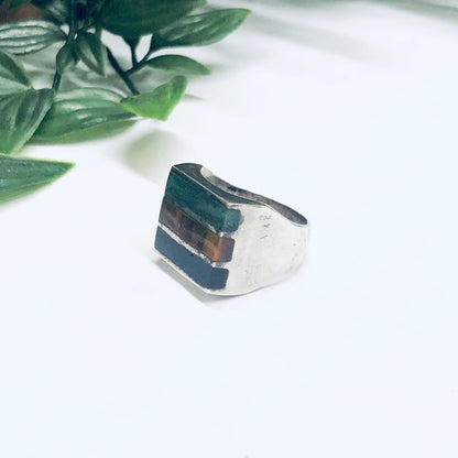 Silver ring with natural inlaid black onyx and tiger's eye stones on white background with green foliage