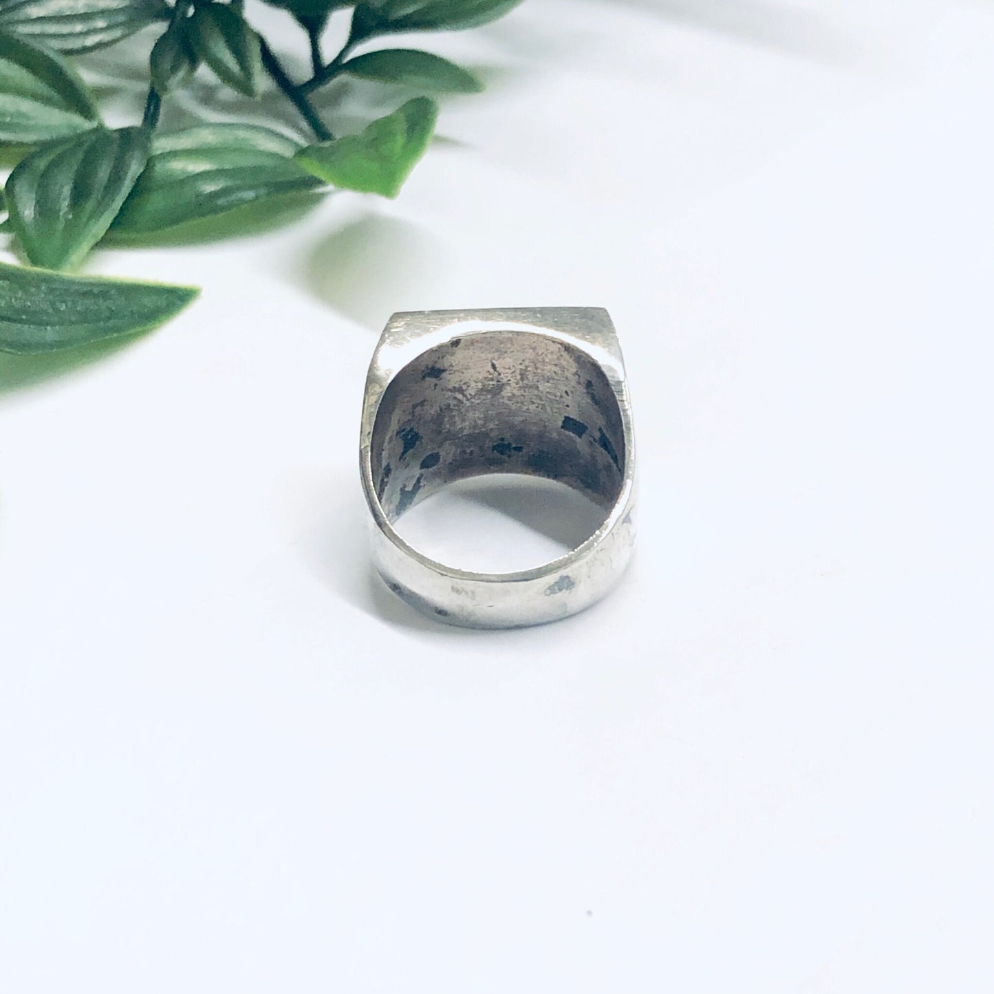 Silver ring with natural black onyx inlay on white background next to green leaves