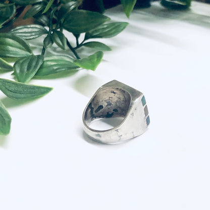 Silver ring with inlaid natural black stones resting on white surface beside green leafy plant branches