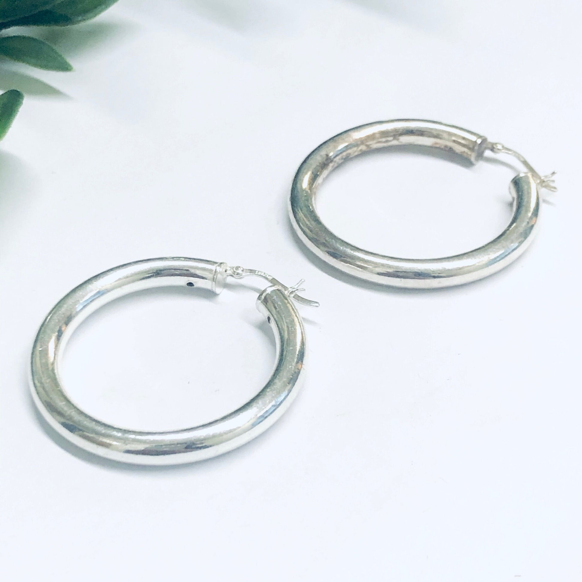 Silver hoop earrings on white background with green leaf