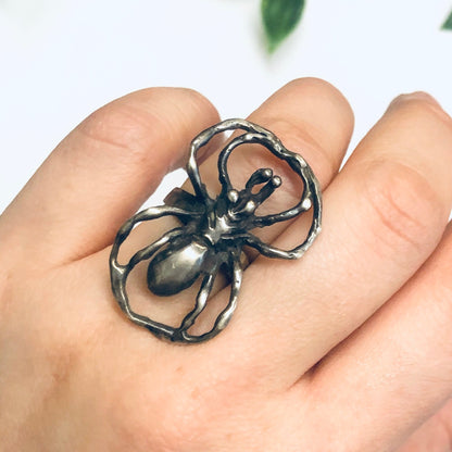 Silver spider ring with curved legs worn on a person's finger, against a plain white background with leaves visible in the upper portion of the image.