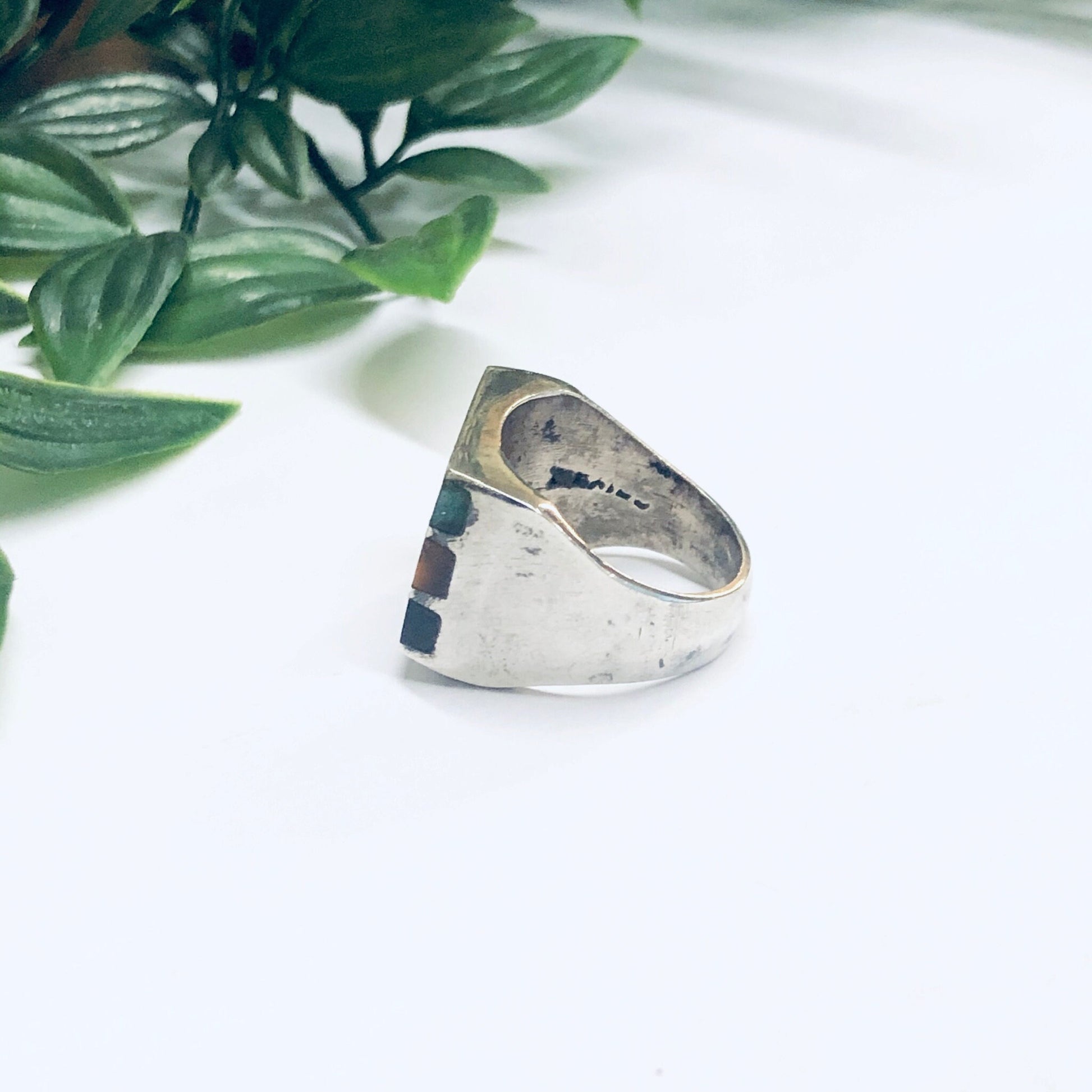 Silver ring with natural black onyx and tiger's eye inlaid stones resting on white surface next to green plant leaves