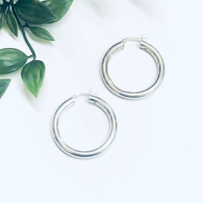 Silver hoop earrings on white background with green leaves