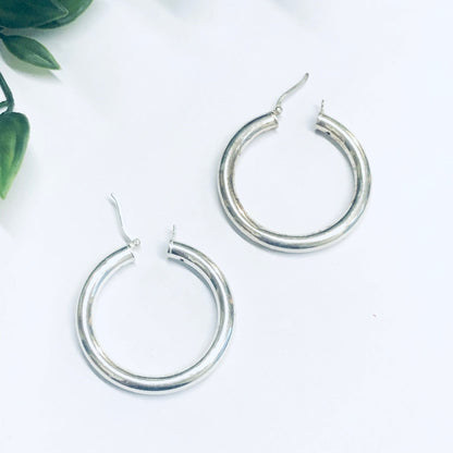 Silver hoop earrings on white background with green leaves