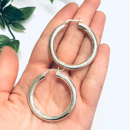 A person's hand holds two medium-sized silver hoop earrings against a plain white background with green foliage visible on the side.