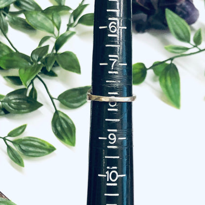 Vintage silver ring with abalone inlay on a measuring stick, surrounded by green leaves