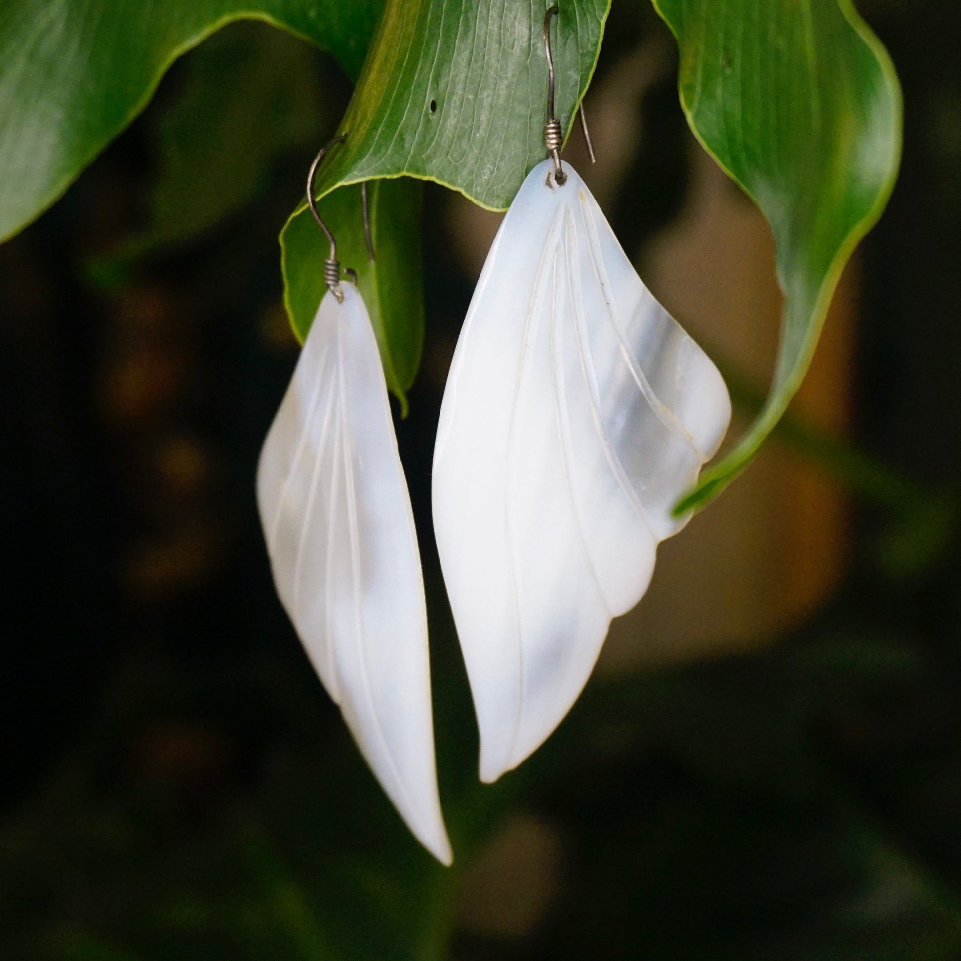 White angel wing earrings made from mother of pearl hanging from green leaves