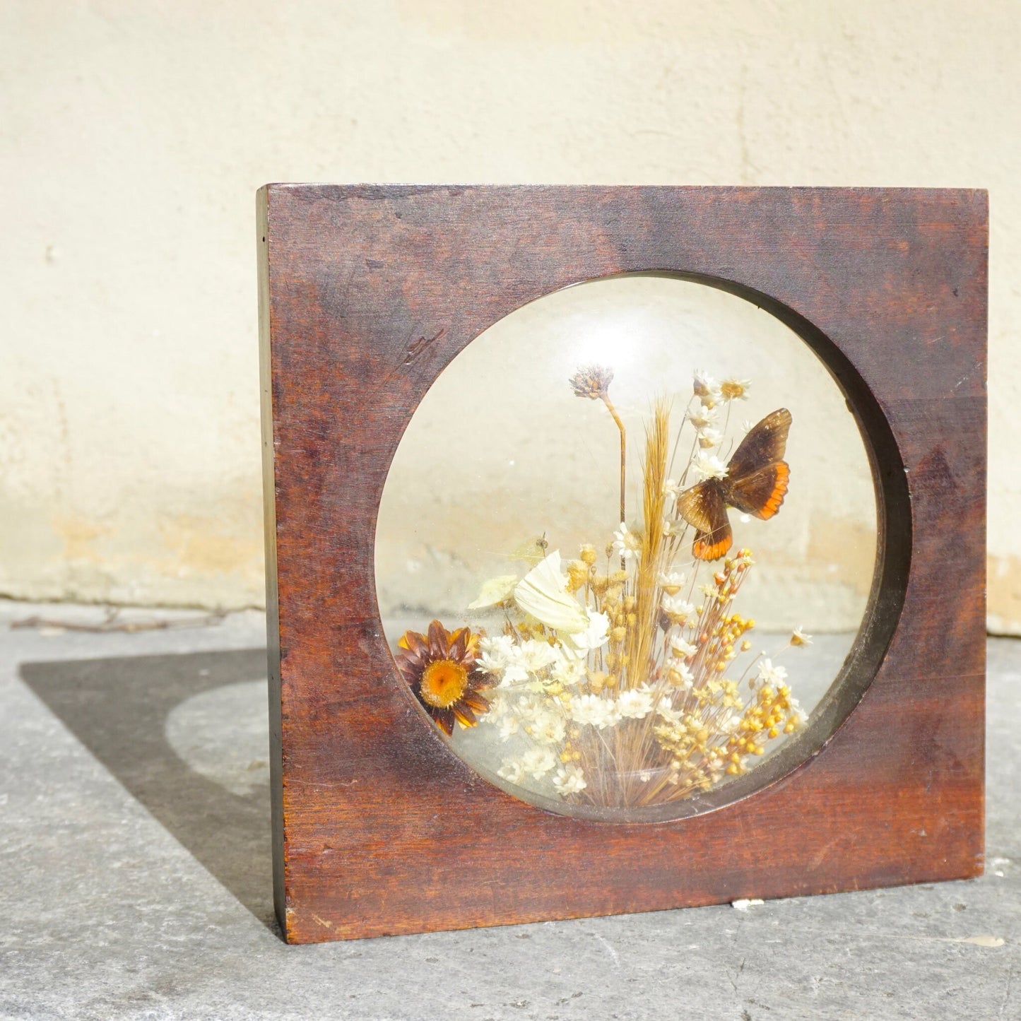 Vintage wooden frame displaying preserved flowers and butterflies under glass, featuring a round window cutout against a distressed brown finish, creating a rustic botanical art piece from The Brazilian Collection by Dunston.