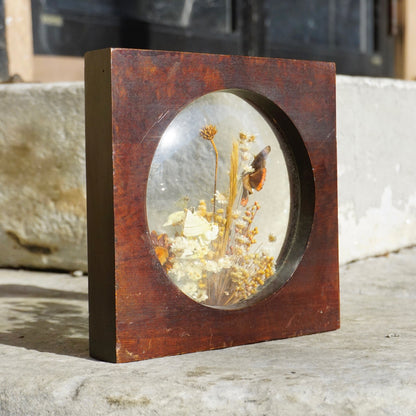 Vintage wooden frame containing a preserved butterfly and dried flowers, displayed outdoors on a stone surface.