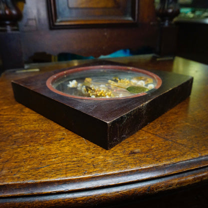 Vintage wooden frame containing preserved butterflies and flowers on a wooden table