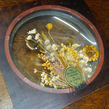 Vintage wooden framed art piece containing preserved yellow and white flowers and butterflies under glass, with a green label that reads "The Brazilian Collection by Dunston