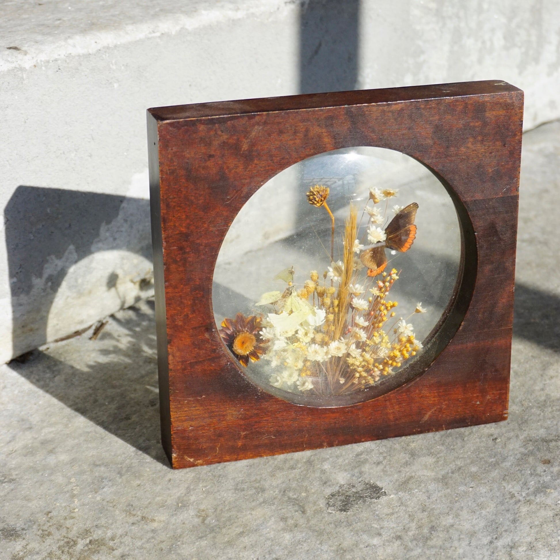 Vintage wooden frame with preserved butterfly and dried flowers encased in glass, sitting on concrete surface with human skulls visible in background, creating an eerie, macabre assemblage.