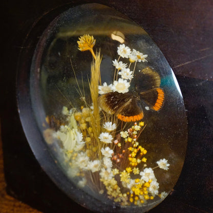 Vintage wooden frame displaying preserved flowers and butterflies, including yellow and white flowers and a brown and orange butterfly, creating a delicate art piece.