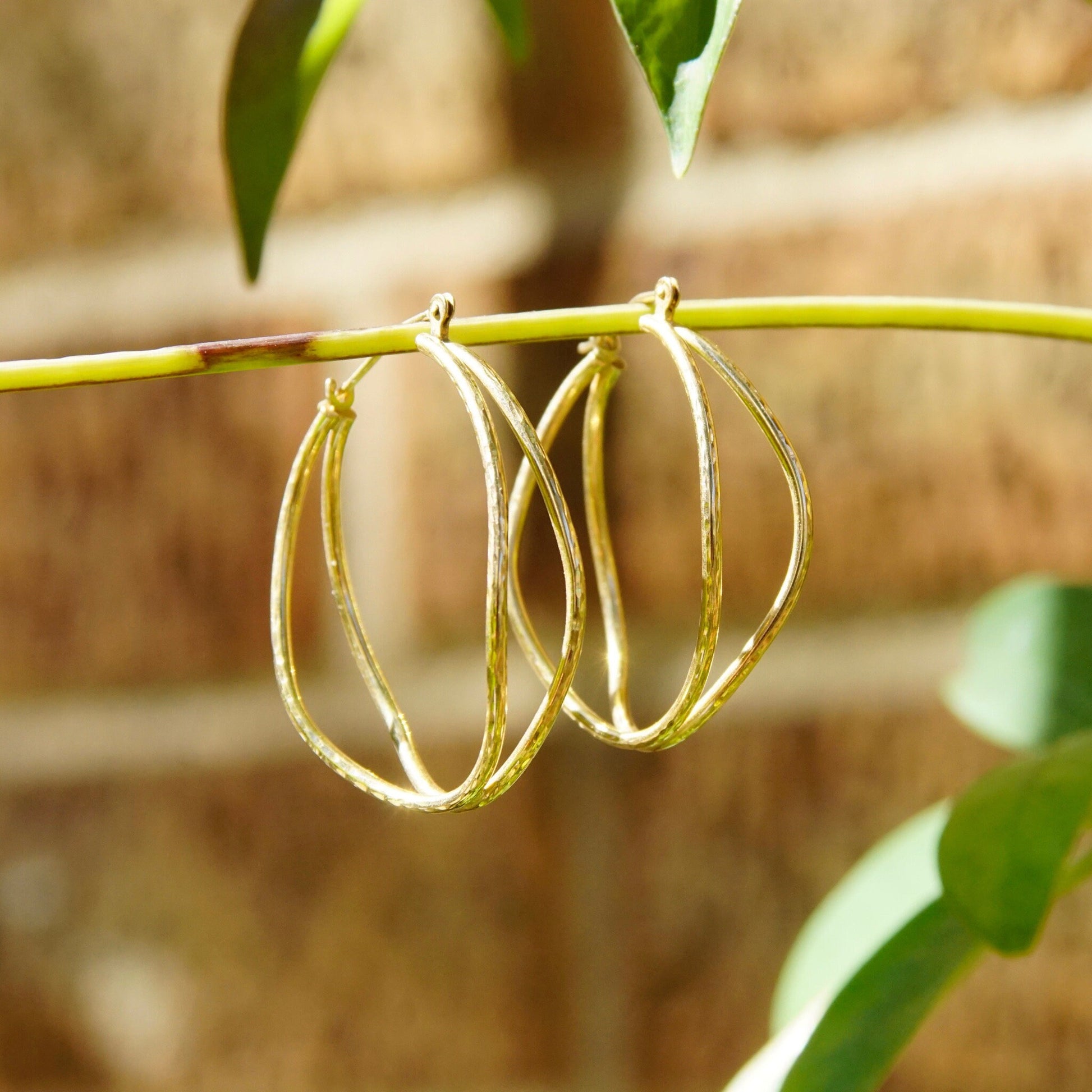 14K gold hammered double strand hoop earrings hanging from a vine branch against a brick wall background