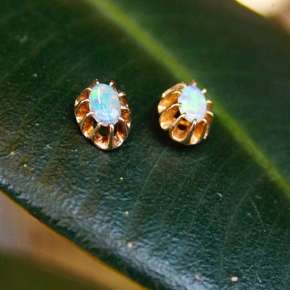 Vintage 14K gold prong set opal stud earrings with opalescent rainbow colors on a green textured leaf background