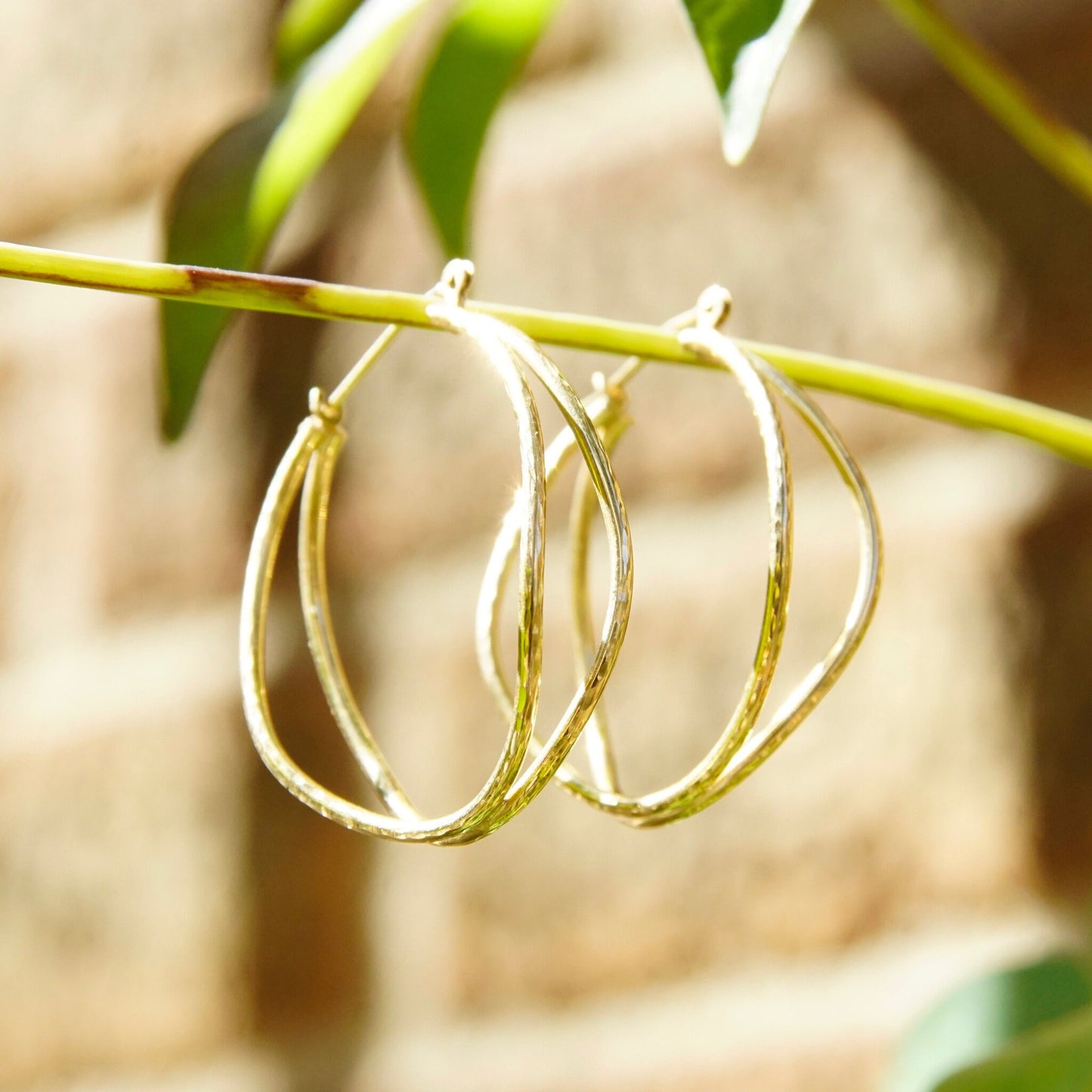 14K gold hammered double hoop earrings hanging from olive branch against rustic burlap background