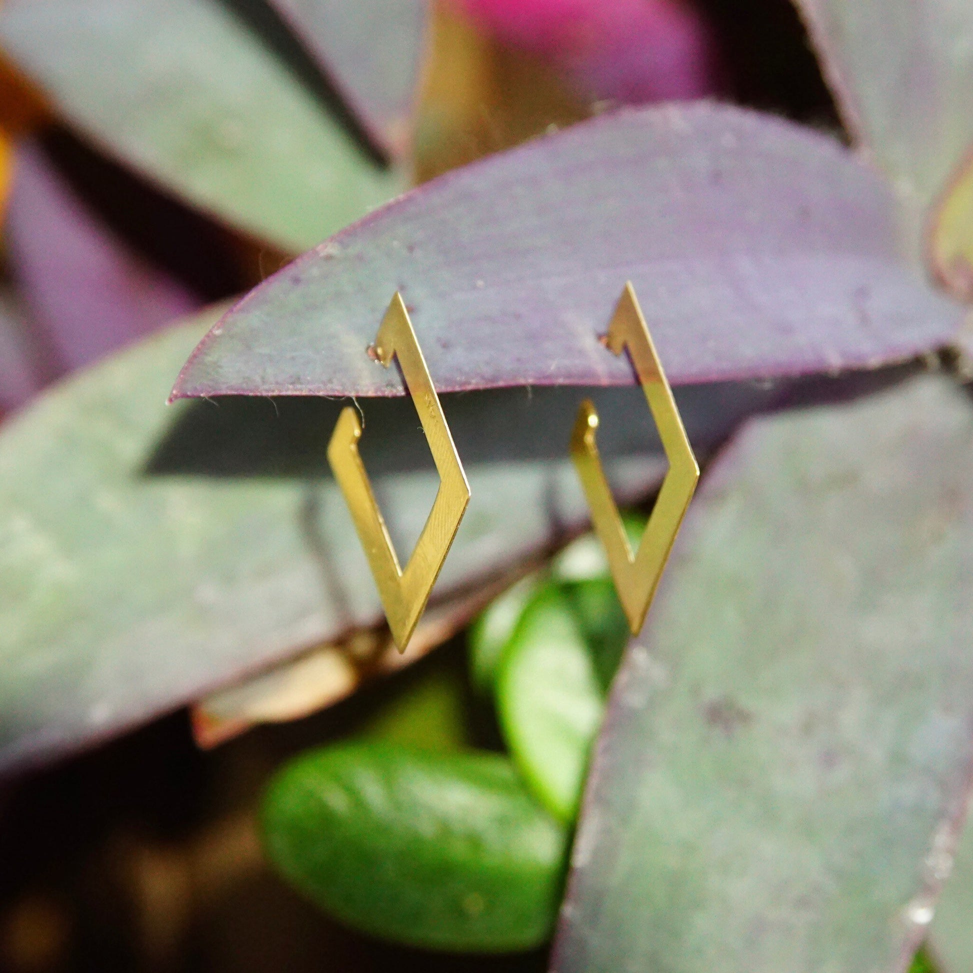 The image shows close-up details of geometric 14K yellow gold square hoop earrings resting on purple and green succulent leaves, creating an artistic vintage minimalist jewelry display.