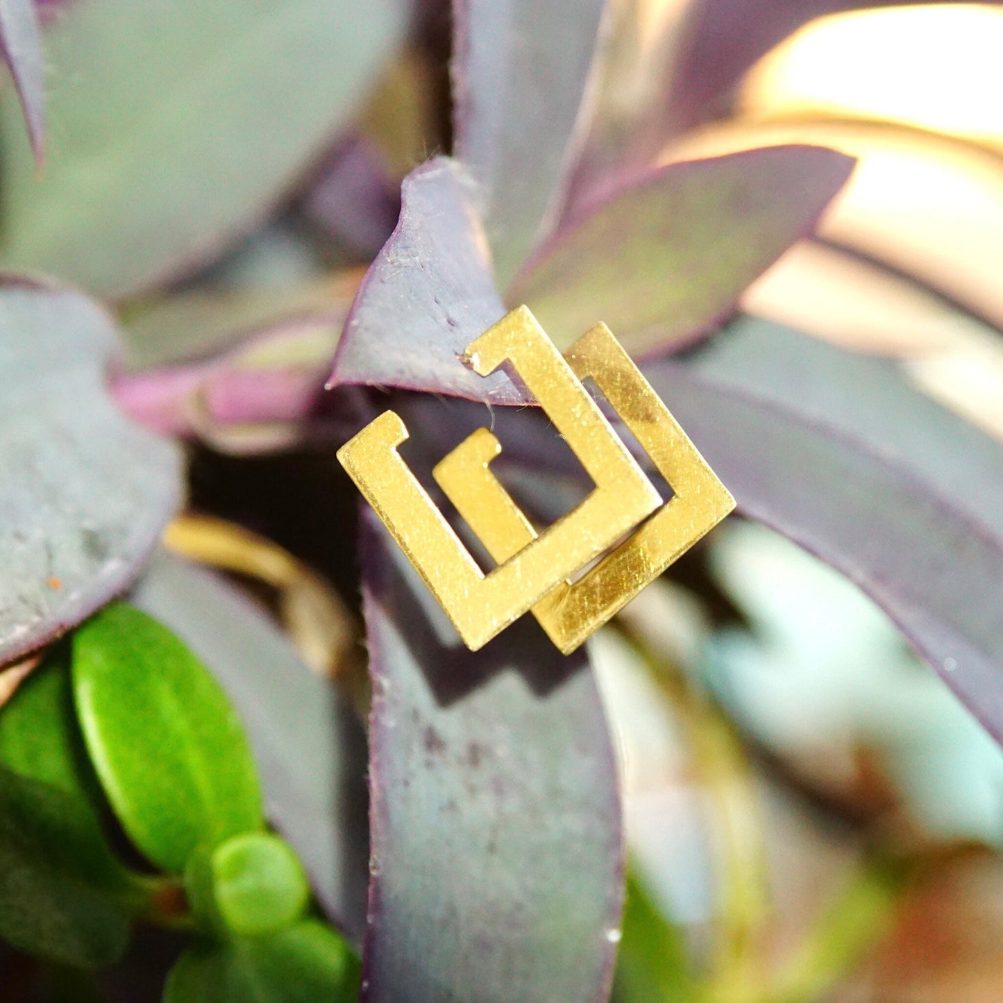 Vintage 14K yellow gold square hoop earrings on succulent plant, geometric flat square stud earrings, 585 gold jewelry