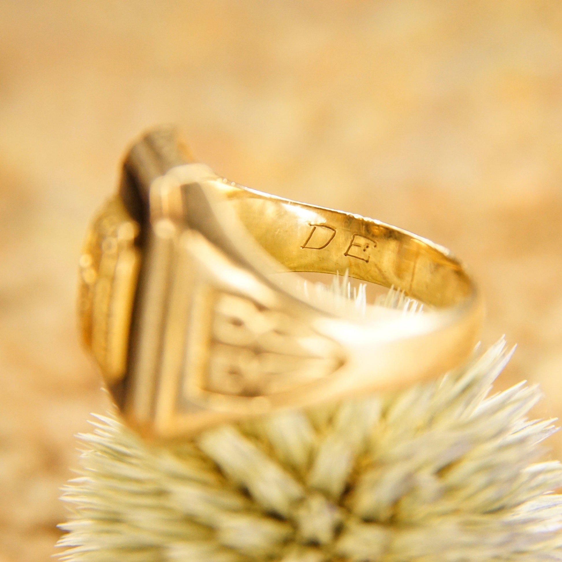 Vintage 10K yellow gold class ring with onyx stone from Trenton High School, dated 1938, resting on fuzzy plant material, close-up detail of ring showing engraved initials "DB