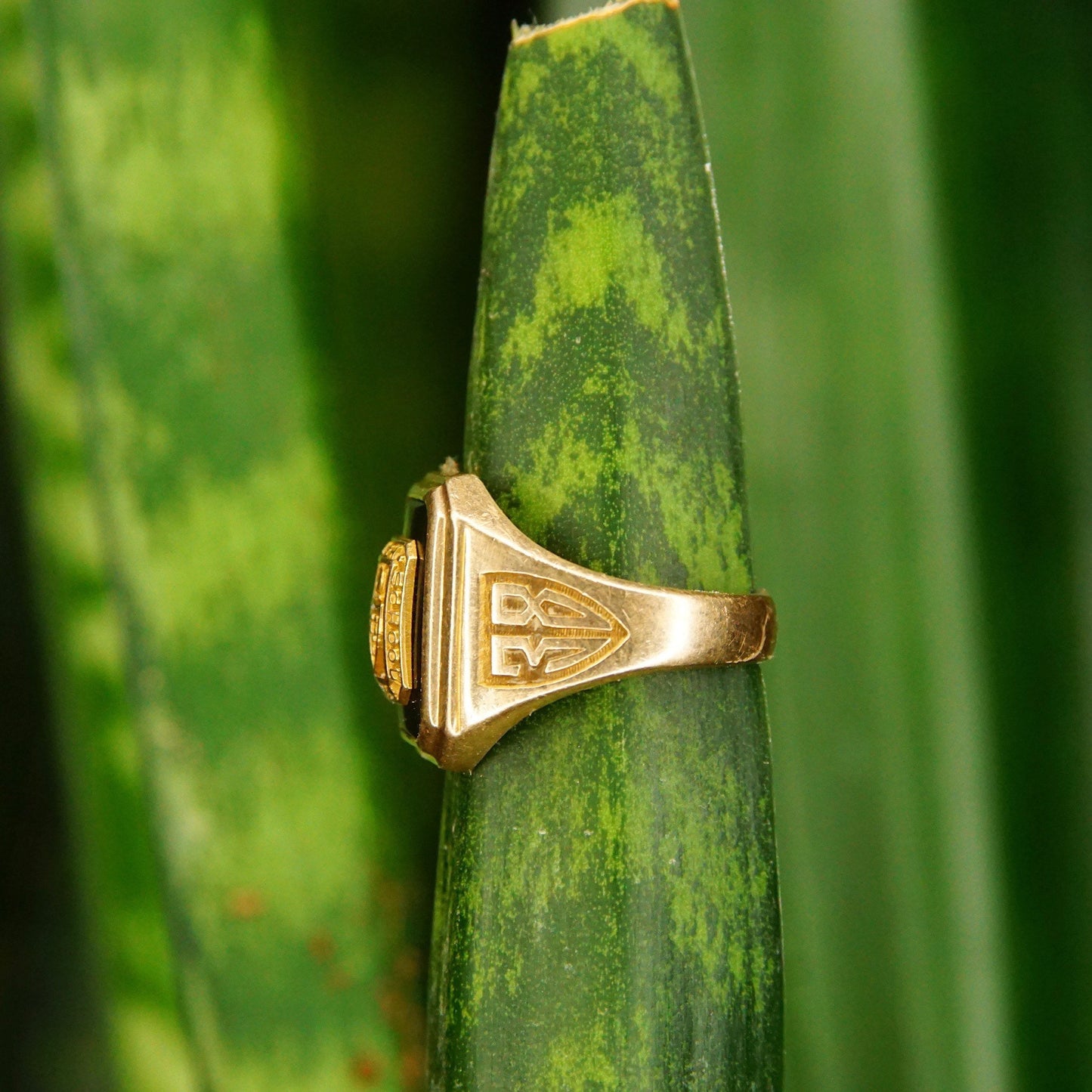 Vintage 1938 10K yellow gold Trenton High School class ring with black onyx stone, engraved details, and Murchison Ultra Supertone mark, shown mounted on green bamboo stem against blurred natural green background, ring size 6 3/4 US.